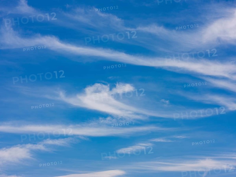 Feather clouds, cirrus in the blue sky