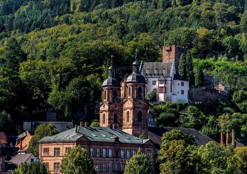 View of Miltenberg, with the parish church of St James and the castle, Lower Franconia, Bavaria, Germany