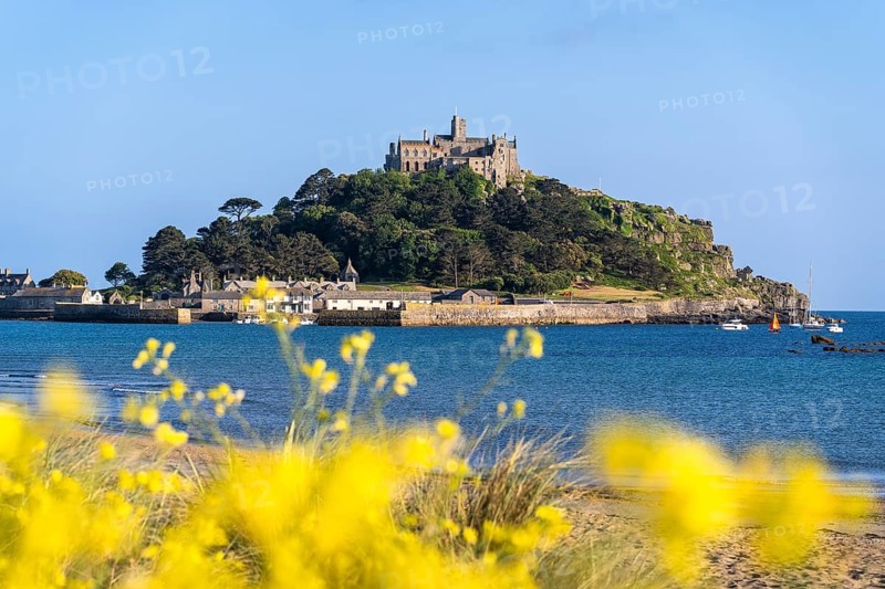 View of St Michaels Mount, from Marazion Beach. Yellow flowers in front. St Michael's Mount, Marazion, Cornwall, England, Great Britain