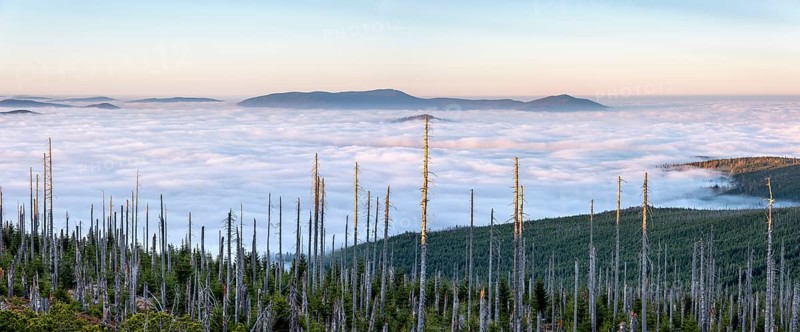 View from the Bavarian Plöckenstein on the border to the Czech Republic over the endless forests of the Bohemian Forest, fog in the lowlands, sea of fog, in front dead forest with natural regeneration, Haidmühle, Bavarian Forest, Lower Bavaria, Bavaria, Germany
