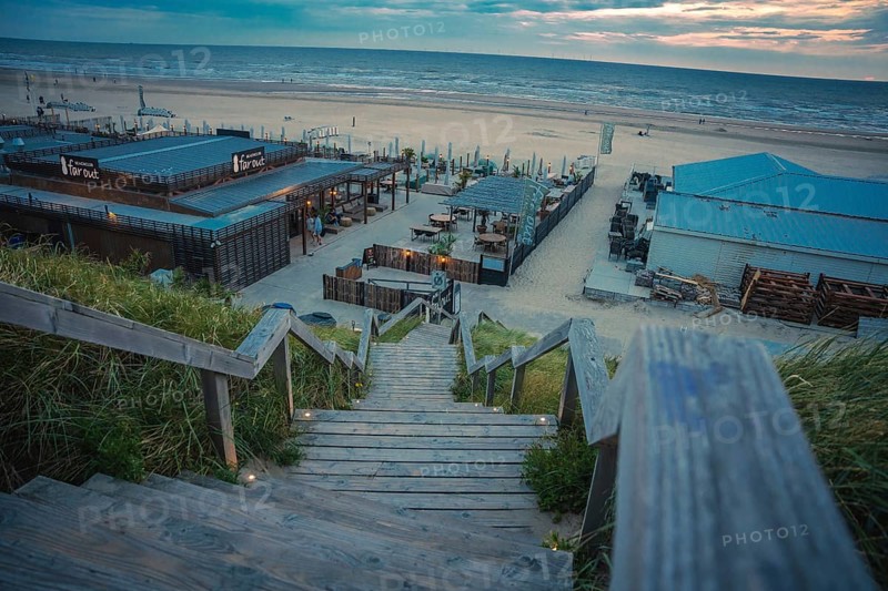 Wooden stairs through the green to the beach, Zandvoort, Netherlands