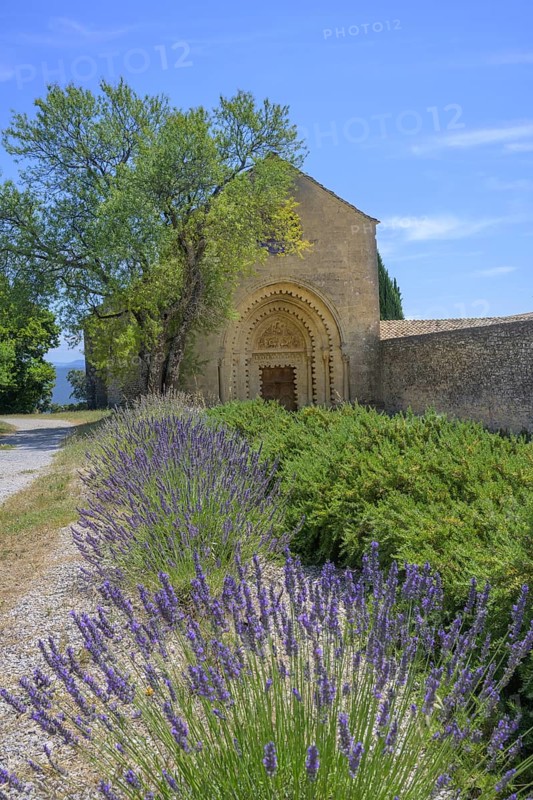 Lavender field in front of Notre Dame de Ganagobie Abbey with main portal on the west façade Ganagobie, Alpes-de-Haute-Provence, France
