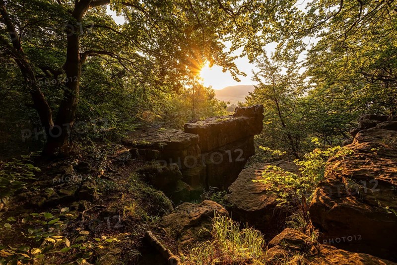 A dramatic sunset bathing a mighty rock spur and trees in the forest in golden light, Kanstein, Thüster Berg, Ith-Hils-Weg, Salzhemmendorf, Lower Saxony, Germany