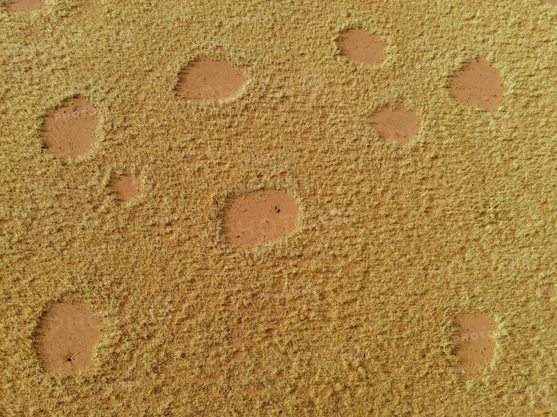 Fairy circles in the Giribisvlakte, aerial view, near Tomakas, Kaokoveld, Kunene Region, Namibia