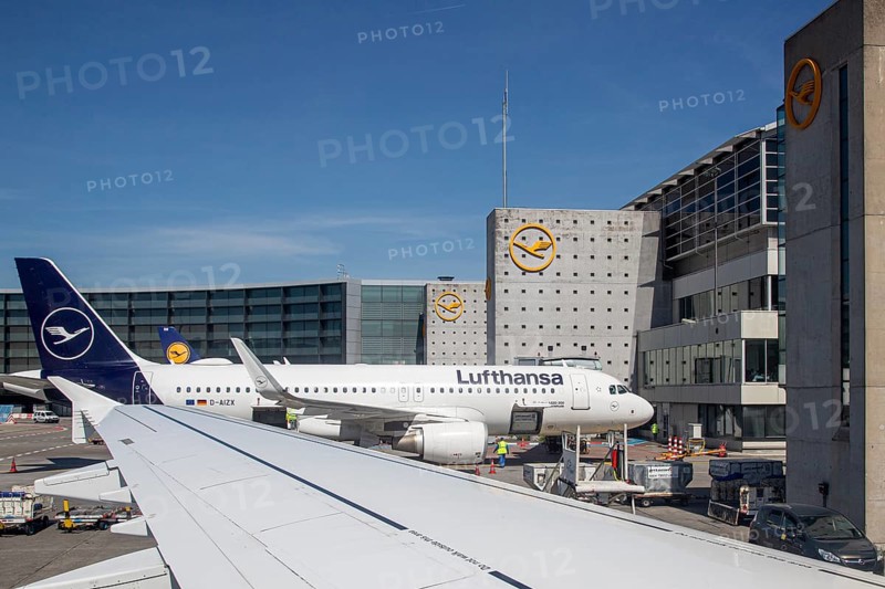 Lufthansa aircraft and airport building with modern terminals under a clear sky, Frankfurt am Main, Germany