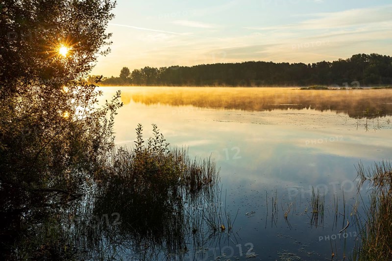 Light fog lies over the smooth water surface of the Quitzdorf dam at sunrise, Kollm, Upper Lusatia, Saxony, Germany