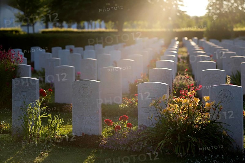 Gravestones, war graves, soldiers' graves, flowers, roses, British and German military cemetery, Cimetière militaire britannique, D-Day, Operation Overlord, Bayeux, Normandy, Calvados, France
