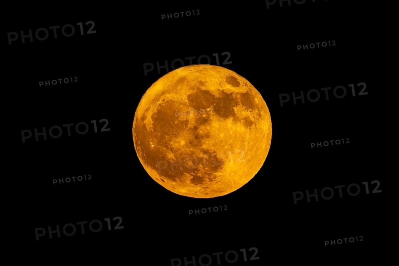 Full moon in the night sky in a warm orange-coloured light, full moon, flower moon, Rhineland-Palatinate, Germany