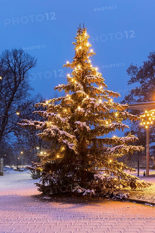 Christmas tree in front of the town hall, in the background a star tree in front of the Karrasburg Museum, snow-covered and at dusk, Coswig, Saxony, Germany