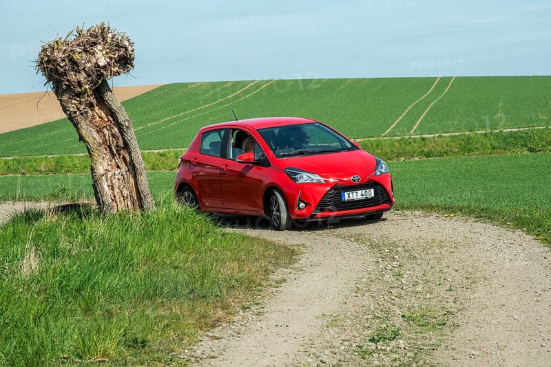 Small country road with red Toyota Yaris automobile and a willow tree in Skivarp, Skurup municipality, Skåne county, Sweden, Scandinavia