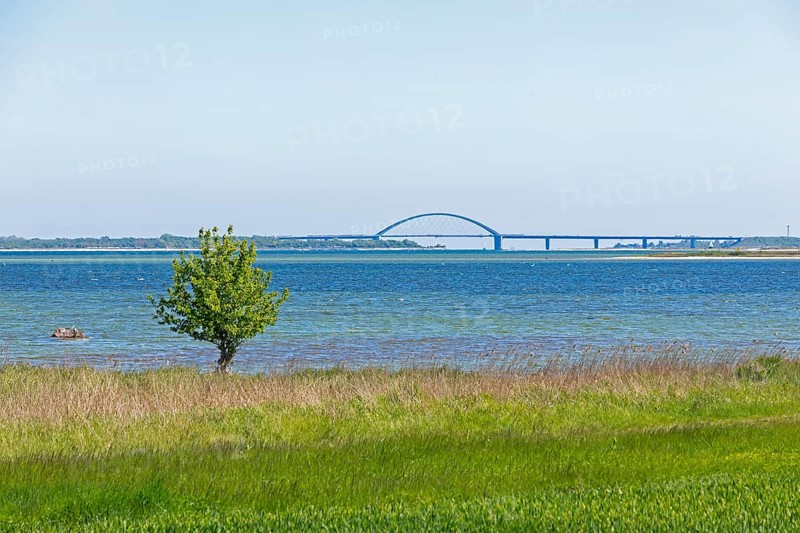 View of the Fehmarnsund Bridge fromFlügge, Fehmarn, Schleswig-Holstein, Germany