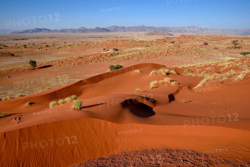 Dune Landscape, Gondwana Namib Park, near Sesriem, Hardap Region, Namibia