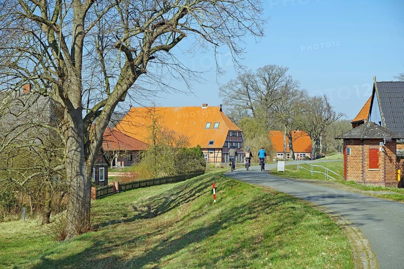 Cyclists ride past trees on a path through a village with orange-coloured roofs, Elbe dyke, Damnatz, Wendland, Lower Saxony, Germany