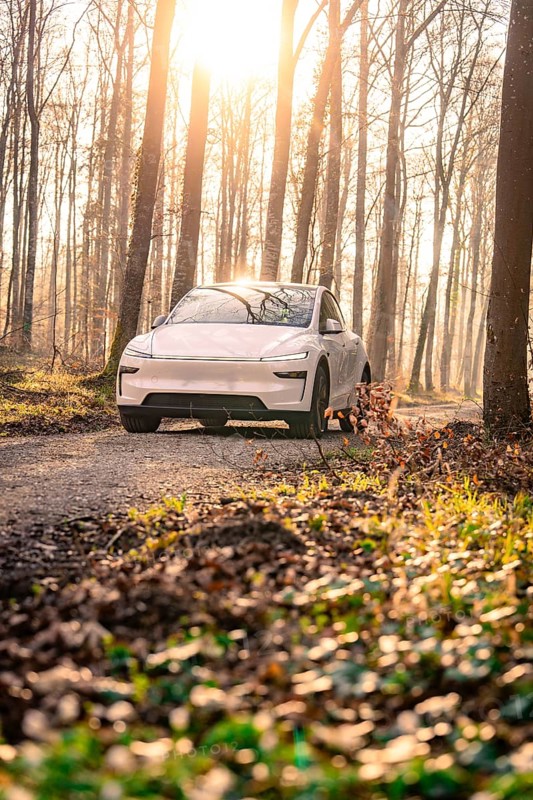 A white car driving on a forest road in sunlight, surrounded by trees and leaves on the ground, Tesla, New Model Y, Black Forest, Germany