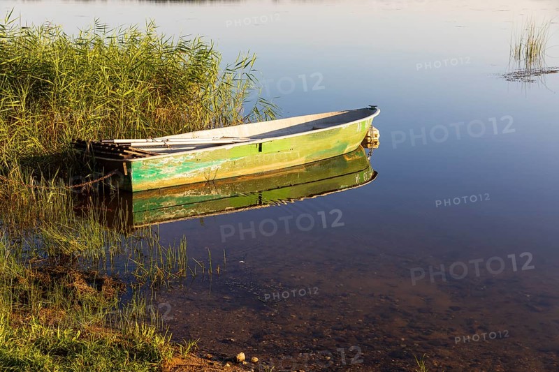 Rowing boat lying in the reeds at the old lido of the Quitzdorf dam, Upper Lusatia, Saxony, Germany