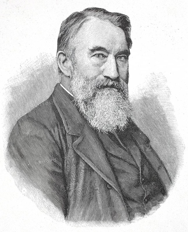 Friedrich Emil Rittershaus, pseudonym Friedrich Emil Viggo (born 3 April 1834, died 8 March 1897), German merchant and poet, digital reproduction of a 19th century original, historical
