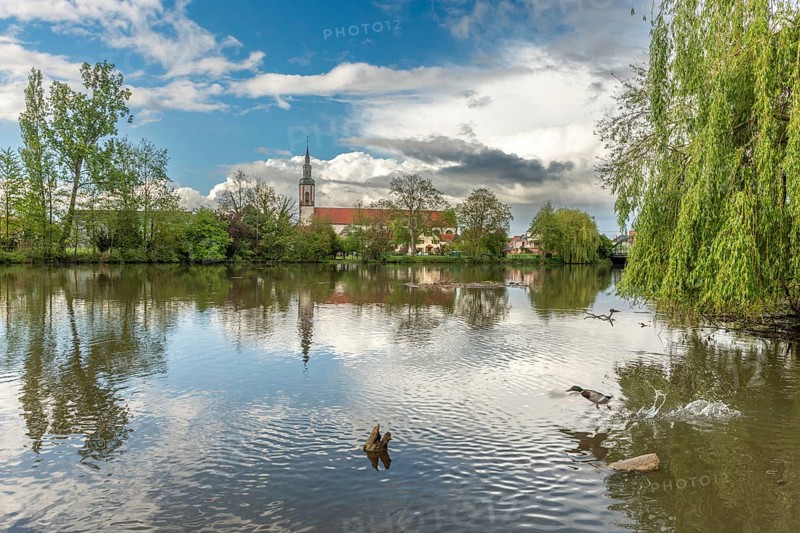 Huttenheim village reflected in a natural tree-lined river in spring. Bas Rhin, Alsace, France