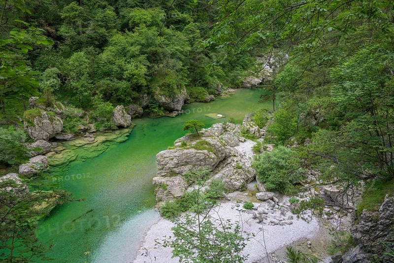 Emerald green river Pozze Smeraldine, Tramonti di Sopra, Province of Pordenone, Italy