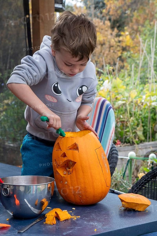Denver, Colorado, A six-year-old boy carves a Halloween pumpkin
