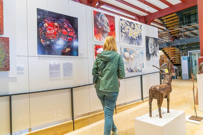 A woman looks at works of art and a sculpture in a gallery in the town hall, Calw, Black Forest, Germany