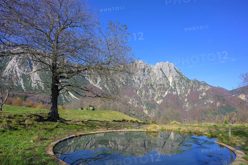 Mountains are reflected in a small pond along the path of large trees in the Piccolo Dolomiti, Recoaro Terme, province of Vicenza, Italy