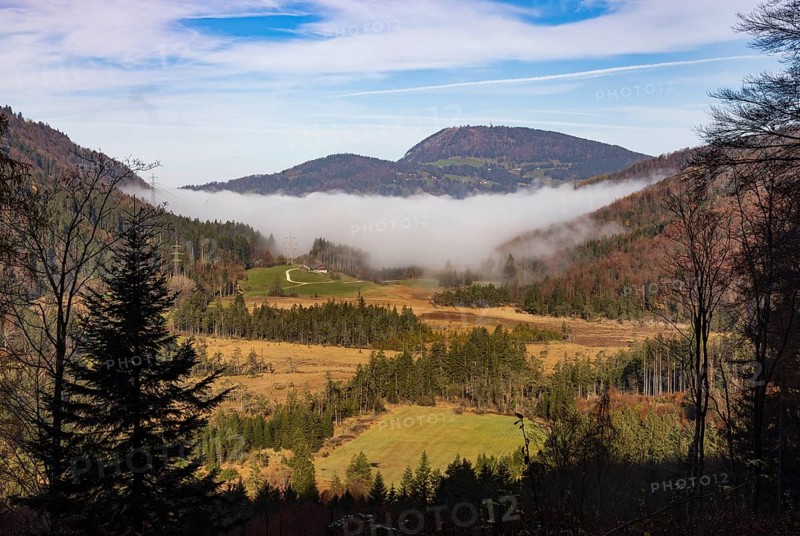 Early morning mist in the Egelsee nature reserve with a view of the Gaisberg, moorland, Puch near Hallein, Osterhorn group, Salzkammergut, Salzburg province, Austria