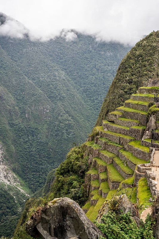 Terraces used for farming at Machu Picchu, Machu Picchu, Cusco Region, Peru