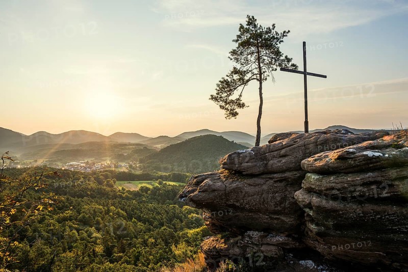 Sandstone rock with pine tree and summit cross, Rötzenfelsen, sunrise, Gossersweiler-Stein, Palatinate Forest, Palatinate Forest, Rhineland-Palatinate, Germany