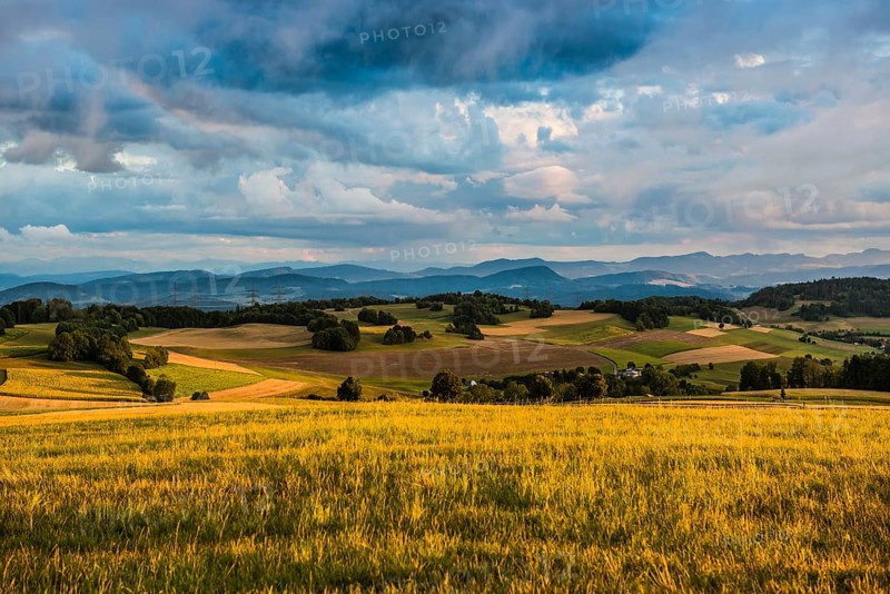 View of the Rhine Valley, with the Jura and the Swiss Alps in the background, sunset, near Höchenschwand, Black Forest, Baden-Württemberg, Germany