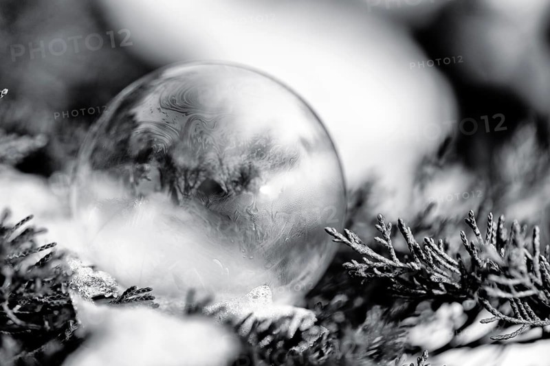 Freezing soap bubble in the snow, frost, monochrome, cold winter weather, close-up, Höxter, Weserbergland, Germany
