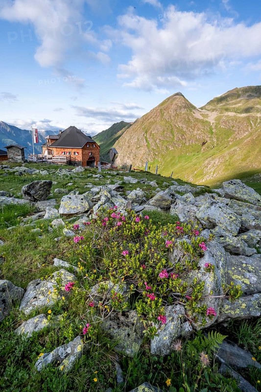 Mountain hut Lasörlinghütte in the evening light, mountain landscape with alpine roses, Lasörlinggruppe, Hohe Tauern, East Tyrol, Tyrol, Austria