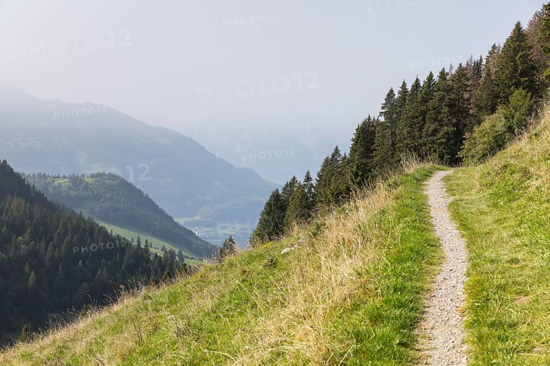 Meadow path on the slope of the Gulmen with a view over Lake Walen to Filzbach, Chapf on the left, Arvenbüel, Amden, St. Gallen, Switzerland