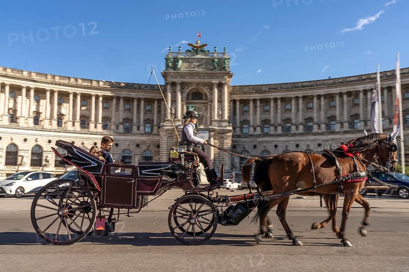 Horse-drawn carriage in front of the Neue Burg, part of the Vienna Hofburg Imperial Palace in Vienna, Austria