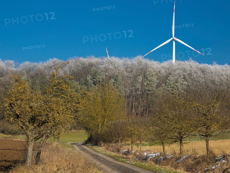 Wind turbines, in the middle of a hoarfrost covered forest, and in the foreground a farm track and fruit trees, beside Breuna, in the winter, North Hesse, Germany