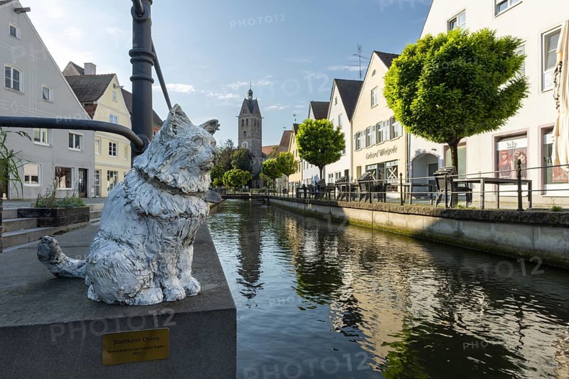Bronze sculpture by Cornelia Brader: City tomcat Chicco at the city stream, behind it Our Lady's Church, Memmingen, Allgäu, Bavaria, Germany