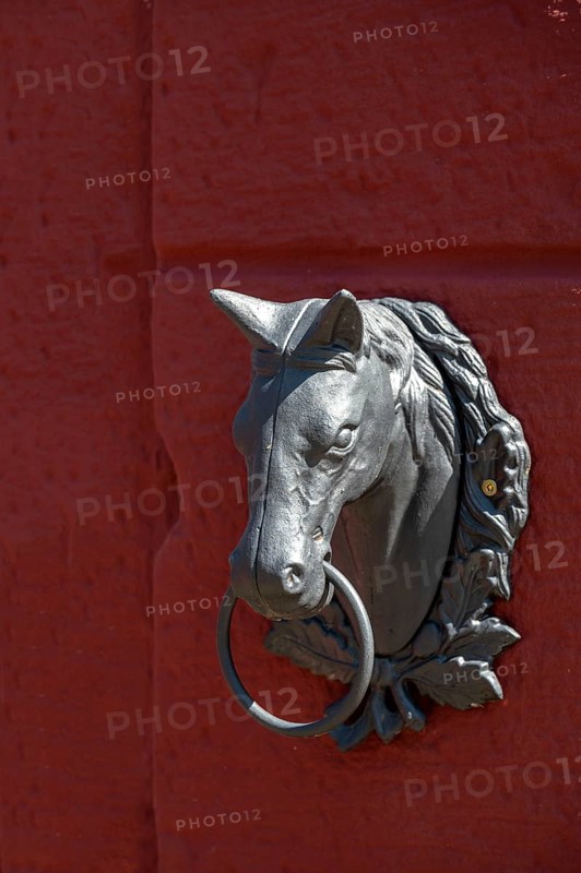 Horse's head as a door knocker, Riegel am Kaiserstuhl, Badern.-Württenberg, Germany