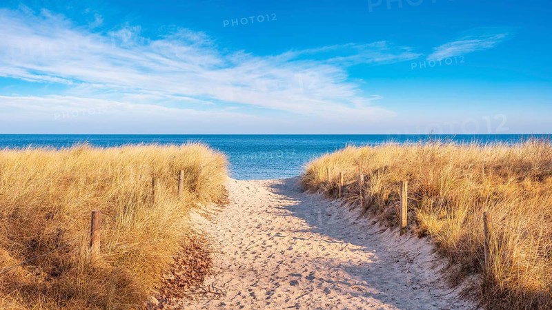 Beach access at the Baltic Sea, path through dunes to the beach, beach grass as coastal protection, Baltic Sea resort Rerik, Mecklenburg-Western Pomerania, Germany