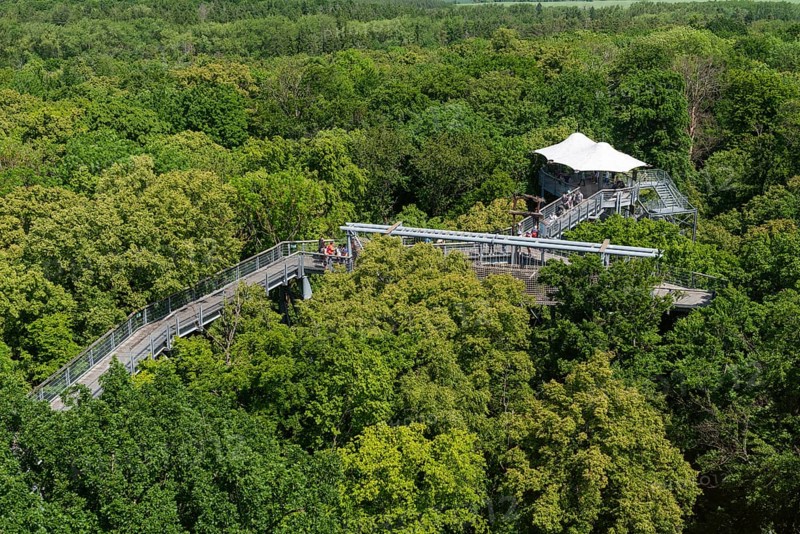 View from the viewing platform of the treetops with the treetop path, UNESCO World Heritage Site and Hainich National Park, canopy, visitors, Bad Langensalza, Thuringia, Germany