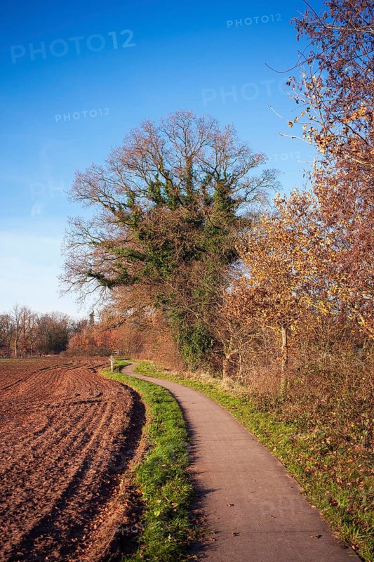 Nature reserve, hiking trail, cycle path, Smeerling, Onstwedde, Groningen, Netherlands