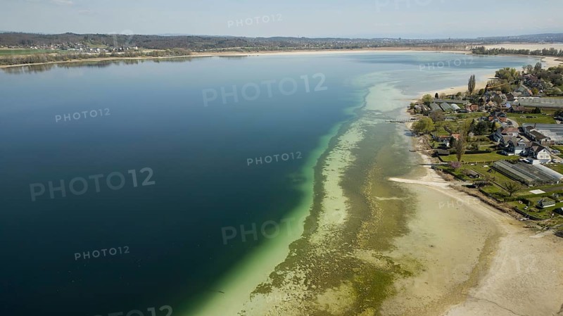 Extremely low water on the island of Reichenau in Lake Constance April 2025