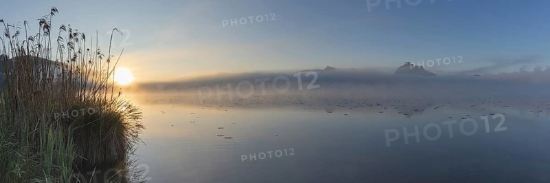 Sunrise at Lake Hopfensee near Füssen, with the Tegelberg massif and the Säuling behind it, Ostallgäu, Allgäu, Upper Swabia, Swabia, Bavaria, Germany