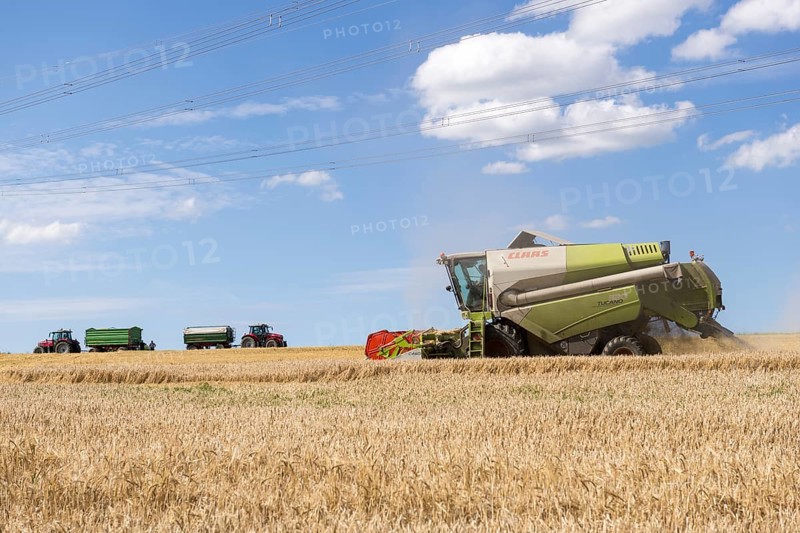 Combine harvester harvesting grain, Harvesting wheat, Tractors, Baden-Württemberg, Germany
