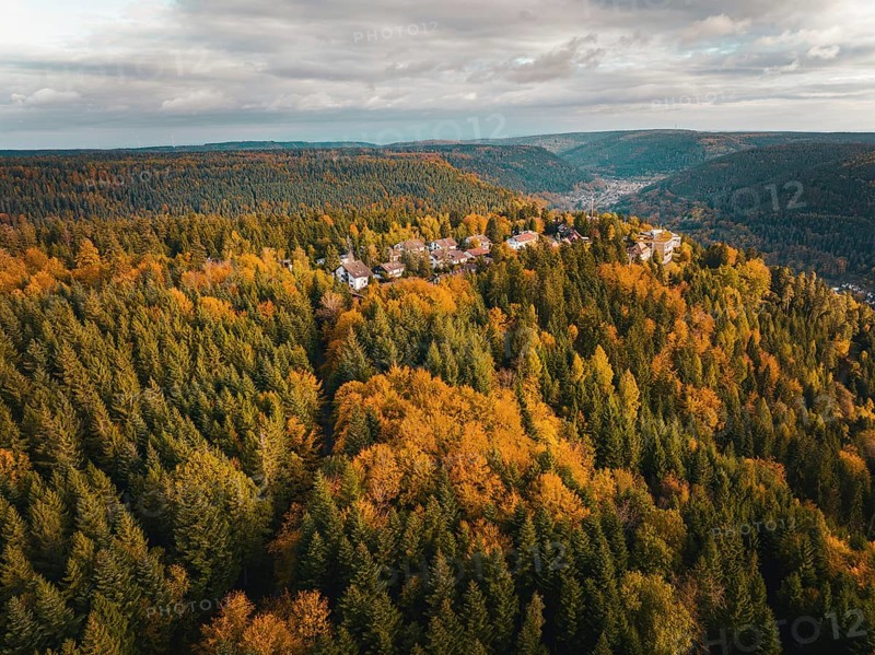 Aerial view of the Sommerberg in the autumn forest, Bad Wildbad, Black Forest, Germany