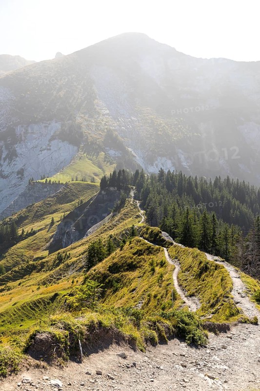 Hiking trail on the ridge from Flügenspitz to Leistchamm, Amden, St. Gallen, Switzerland