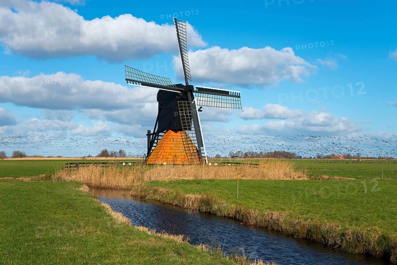 De Jansmolen or De Modden, Hollow trestle mill, Rijksmonumente, Flock of birds in the background, Goengahuizen, Goëngahuizen, Goaiïngahuzen, Friesland, Fryslân, Netherlands, Mill