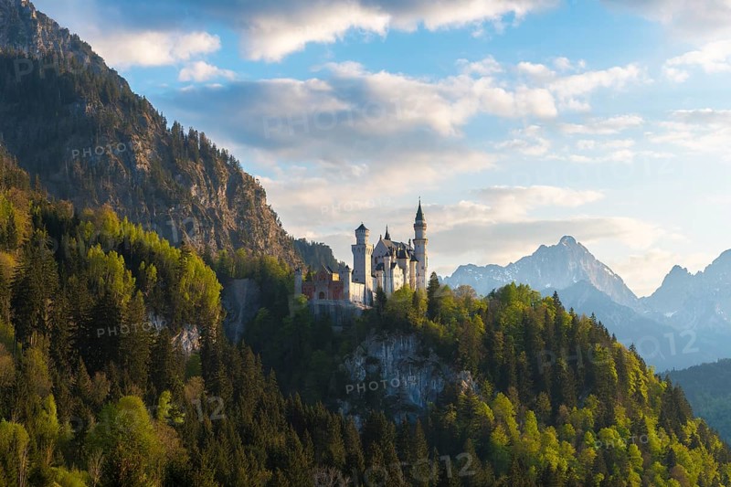 Castle embedded in a lush forest backdrop in the sunshine, Neuschwanstein, Schwangau near Füssen, Ostallgäu district, Swabia, Bavaria, Germany