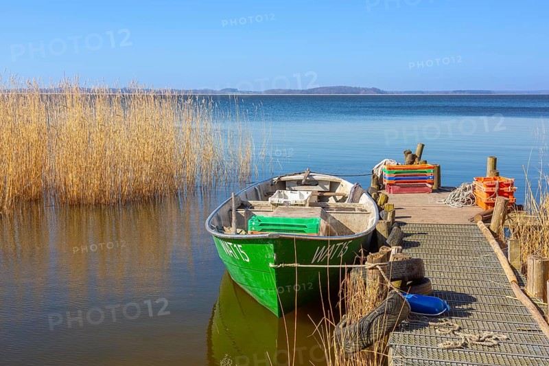 Fishing boat, rowboat along reed bed near Warthe, Rankwitz at the Lieper Winkel on the island of Usedom, Mecklenburg-Vorpommern, Germany