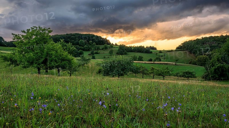 Landscape in the Odenwald with trees, meadows, forest and hills. Sunset. Lampenhain, Heiligkreuzsteinach, Odenwald, Baden-Württemberg, Germany