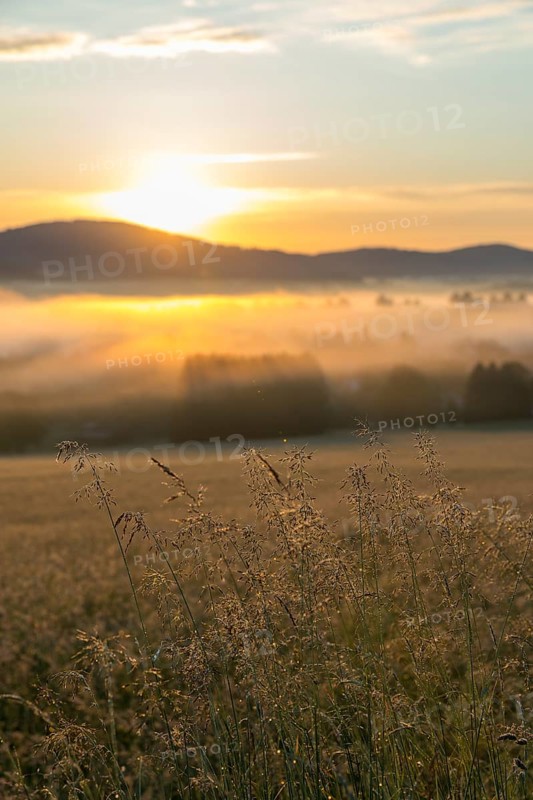 Oberlausitzer Bergland with fog in the morning light, view from Callenberg, Schirgiswalde-Kirschau, Saxony, Germany