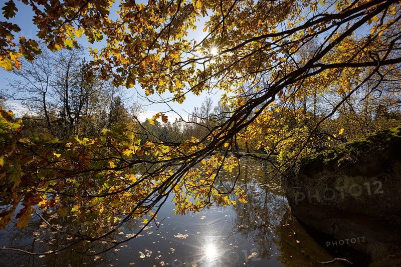 Fish pond with granite rocks and autumn-coloured oak in the Blockheide nature park Park near Gmünd, Waldviertel, Lower Austria, Austria